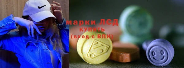 индика Абинск