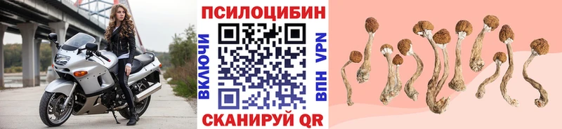Галлюциногенные грибы мицелий  купить  цена  ОМГ ОМГ маркетплейс  Советская Гавань 